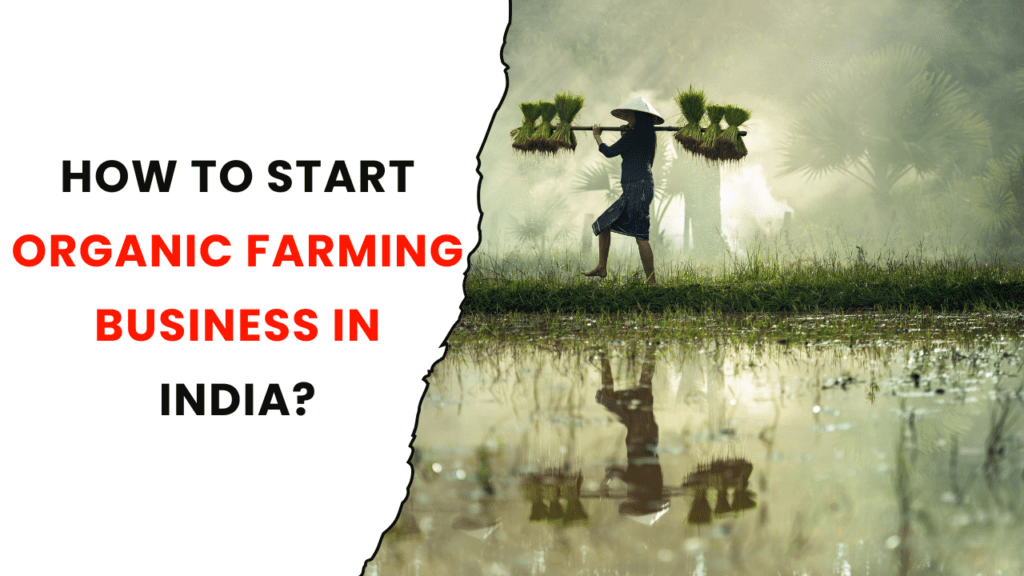 How to Start Organic Farming Business in India?